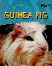 Life of a Guinea Pig (Life Cycles)