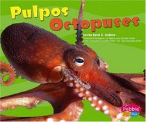 Pulpos / Octopuses (Bajo Las Olas/Under the Sea series)