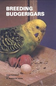 Breeding Budgerigars