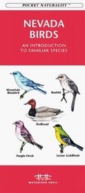 Nevada Birds: An Introduction to Familiar Species (Pocket Naturalist)