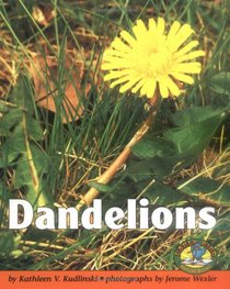 Dandelions (Early Bird Nature Books)