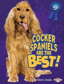 Cocker Spaniels Are the Best! (The Best Dogs Ever)
