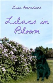 Lilacs in Bloom