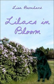 Lilacs in Bloom