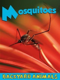 Mosquitoes (Backyard Animals)