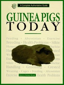 Guinea Pigs Today