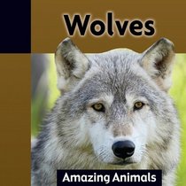 Wolves (Amazing Animals)