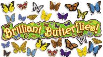 3-D Butterflies! Bulletin Board
