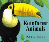 Rainforest Animals