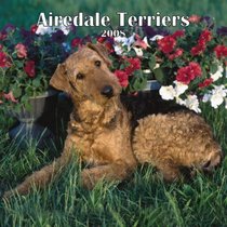 Airedale Terriers 2008 Square Wall Calendar