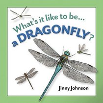 Whats it Like to be a Dragonfly?