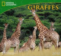 Giraffes - 2010 National Geographic Wall Calendar