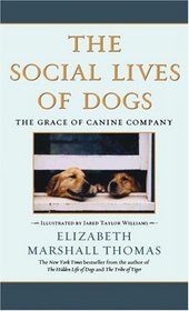 The Social Lives of Dogs