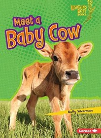 Meet a Baby Cow (Lightning Bolt Books Baby Farm Animals)