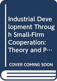Industrial Development Through Small-Firm Cooperation: Theory and Practice