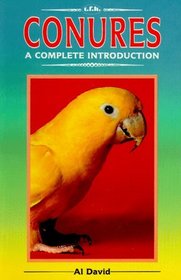 Conures : A Complete Introduction