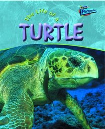 The Life of a Sea Turtle (Life Cycles)