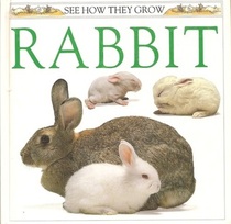 Rabbit (See How They Grow Series)