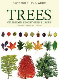 Illustrated Trees of Britain and Northern Europe: A Complete Guide to the Trees of  Britain and Northern Europe