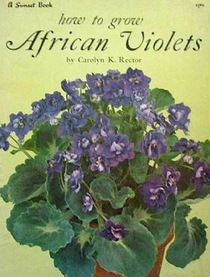 How to grow African violets