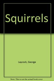 Squirrels