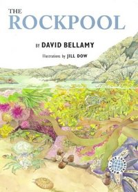 The Rockpool (Our Changing World Series)