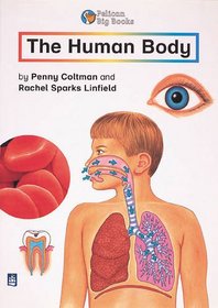 The Human Body: Big Book (Pelican Big Books)
