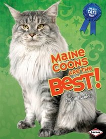 Maine Coons Are the Best! (Best Cats Ever)
