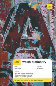 Teach Yourself Welsh Dictionary (TY: Dictionaries)