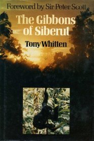 Gibbons of Siberut