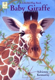 Baby Giraffe (Lift-the-Flap Books)