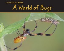 A World of Bugs (Comparing Bugs)