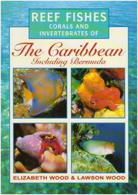 Photographic Guide to Reef Fishes, Corals and Invertebrates of the Caribbean Including Bermuda (Photographic Guides)
