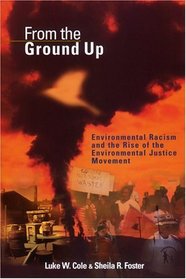 From the Ground Up: Environmental Racism and the Rise of the Environmental Justice Movement (Critical America Series)