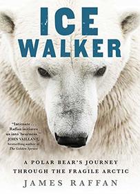 Ice Walker: A Polar Bear's Journey through the Fragile Arctic