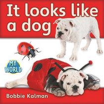 It Looks Like a Dog (Bobbie Kalman's Leveled Readers: My World: A)