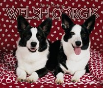 For the Love of Welsh Corgis Deluxe 2005 Wall Calendar