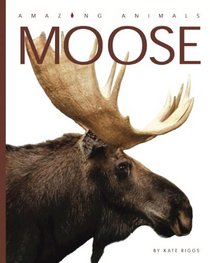 Amazing Animals: Moose
