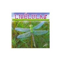 Libelulas (Biblioteca Del Descubrimiento De Los Insectos) (Spanish Edition)