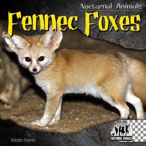 Fennec Foxes (Nocturnal Animals)