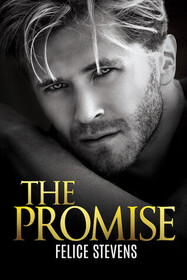The Promise (Lost in New York, Bk 2)