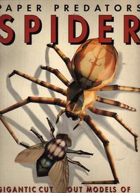 Paper Predators: Spider and Fly