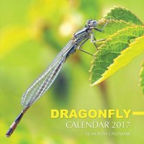 Dragonfly Calendar 2017: 16 Month Calendar