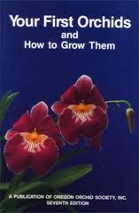 Your First Orchids and How to Grow Them