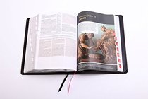 CSB Study Bible, Premium Black Goatskin, Indexed