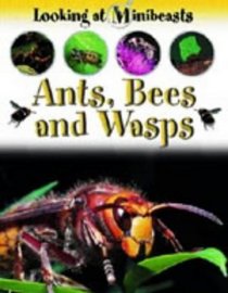 Ants, Bees and Wasps (Looking at Minibeasts)