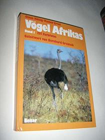 Vogel Afrikas: Ost und Sudafrika (German Edition)