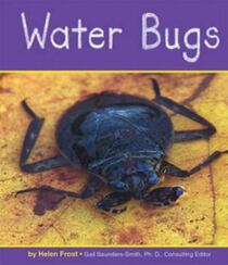 Water Bugs (Pebble Books)