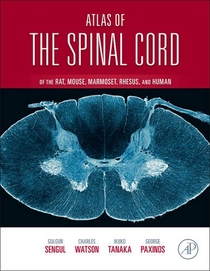 Atlas of the Spinal Cord: Mouse, Rat, Rhesus, Marmoset, and Human