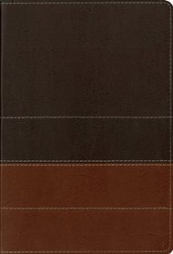 Zondervan NIV Study Bible, Large Print: Updated Edition